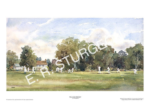 Village Cricket