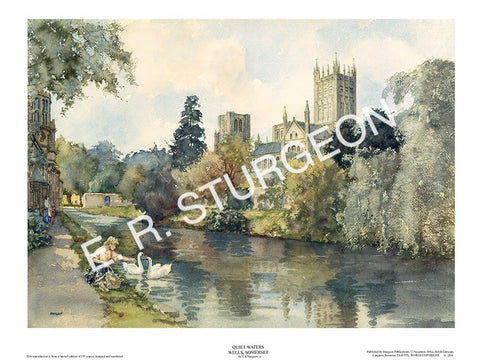 Quiet Waters, Wells