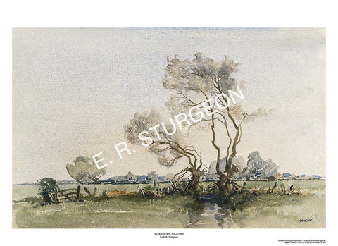 Sedgemoor Willows, Near Glastonbury, Somerset