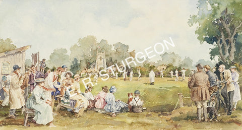 Cricket Match