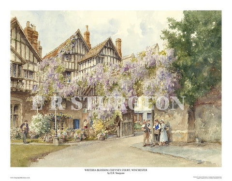 Wisteria Blossom, Cheyney Court, Winchester, Hampshire - Giclee Open Edition Print