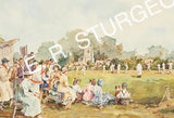 Cricket Match