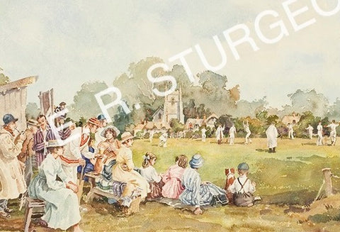 Cricket Match