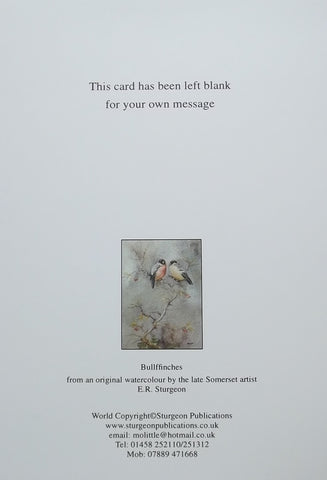 Bullfinches