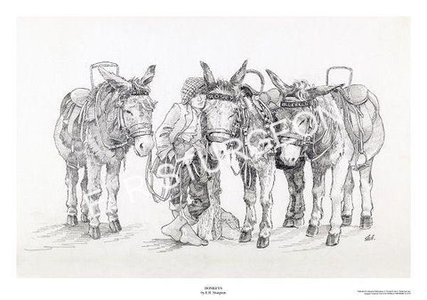 Donkeys - Pencil Drawing