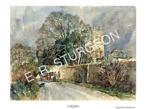 Winter Sunlight, Huish Episcopi, Langport, Somerset